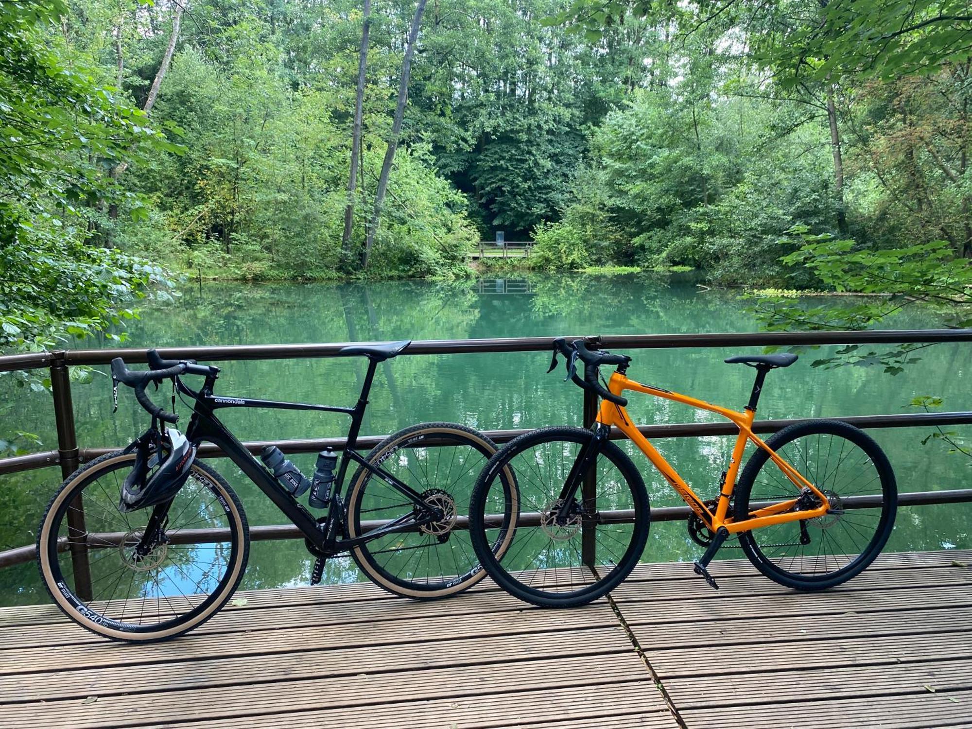 Ferienwohnung Sued - West Harz Mit Sauna E-Bikes Vorhanden! Horden am Harz Extérieur photo